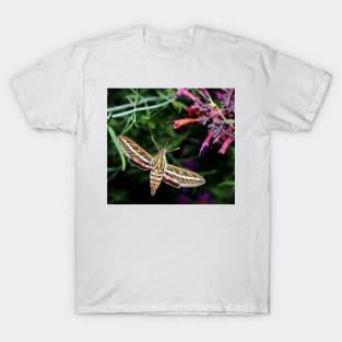 Hummingbird Moth T-Shirt